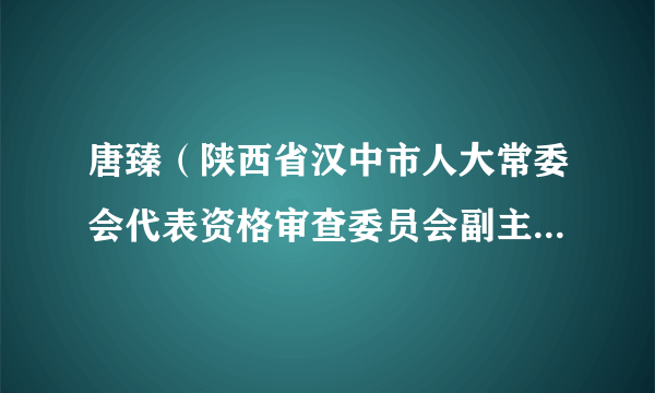 唐臻（陕西省汉中市人大常委会代表资格审查委员会副主任委员）