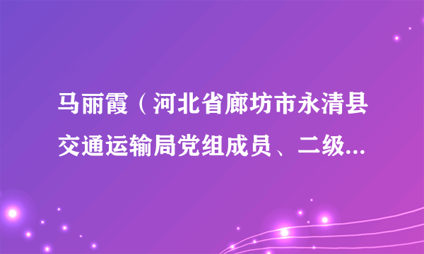 马丽霞（河北省廊坊市永清县交通运输局党组成员、二级主任科员）