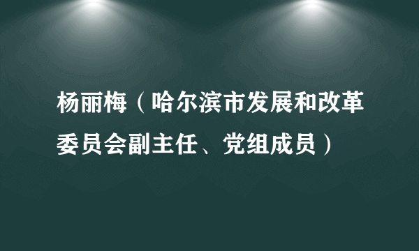 杨丽梅（哈尔滨市发展和改革委员会副主任、党组成员）