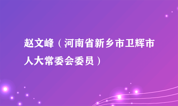 赵文峰（河南省新乡市卫辉市人大常委会委员）