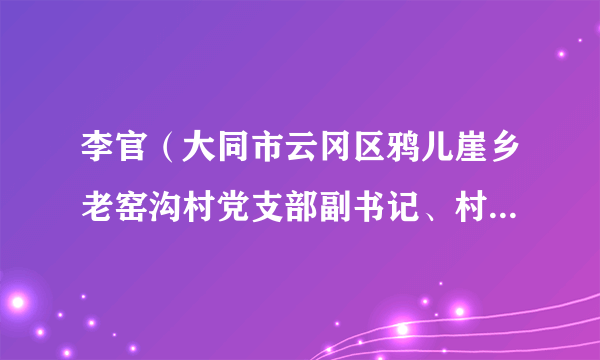 李官（大同市云冈区鸦儿崖乡老窑沟村党支部副书记、村委副主任）