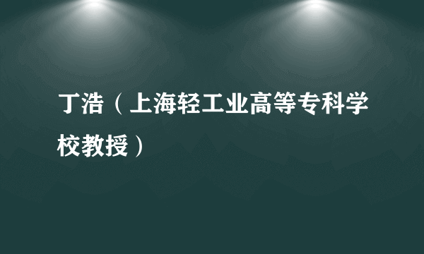 丁浩（上海轻工业高等专科学校教授）