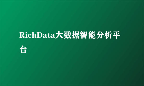 RichData大数据智能分析平台