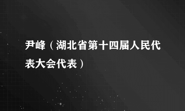 尹峰（湖北省第十四届人民代表大会代表）