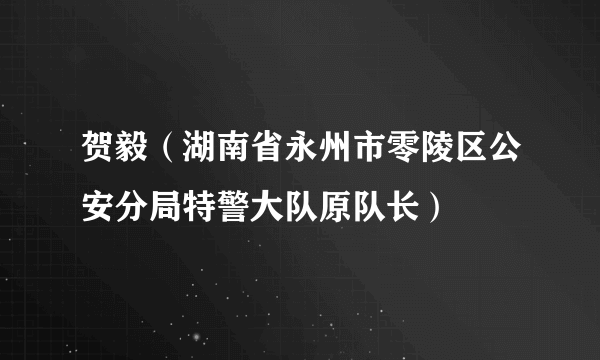 贺毅（湖南省永州市零陵区公安分局特警大队原队长）