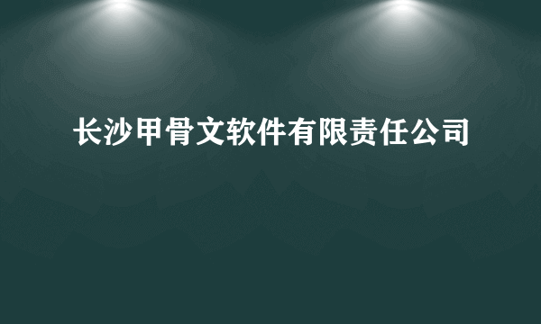 长沙甲骨文软件有限责任公司