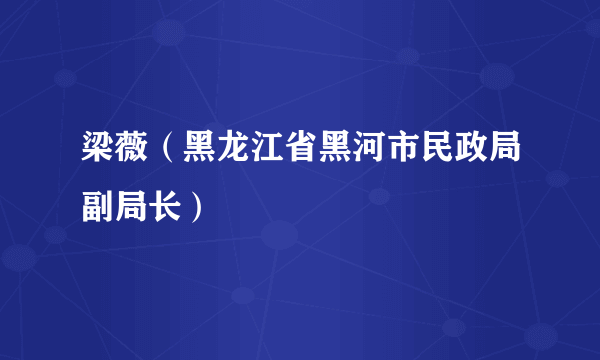 梁薇（黑龙江省黑河市民政局副局长）