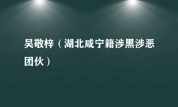 吴敬梓（湖北咸宁籍涉黑涉恶团伙）