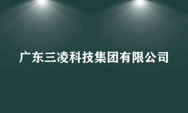 广东三凌科技集团有限公司