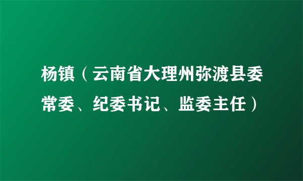 杨镇（云南省大理州弥渡县委常委、纪委书记、监委主任）