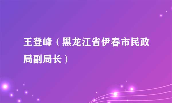 王登峰（黑龙江省伊春市民政局副局长）