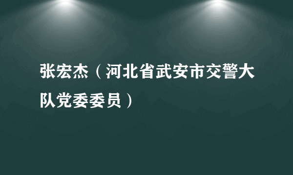 张宏杰（河北省武安市交警大队党委委员）