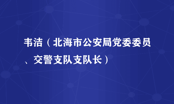 韦洁（北海市公安局党委委员、交警支队支队长）