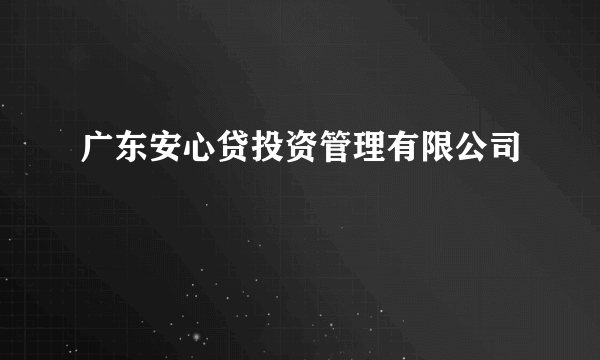 广东安心贷投资管理有限公司