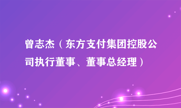 曾志杰（东方支付集团控股公司执行董事、董事总经理）