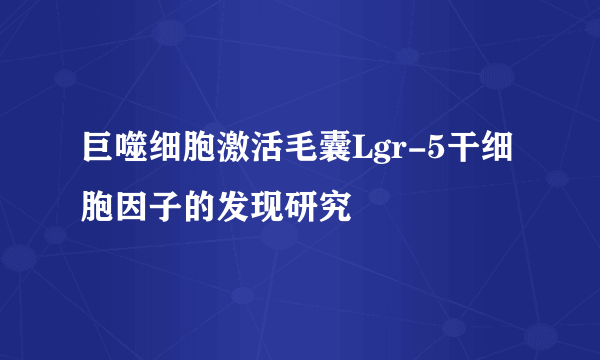 巨噬细胞激活毛囊Lgr-5干细胞因子的发现研究