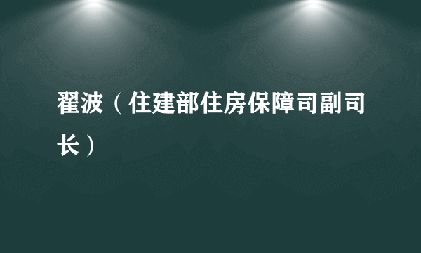 翟波（住建部住房保障司副司长）