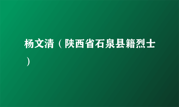 杨文清（陕西省石泉县籍烈士）