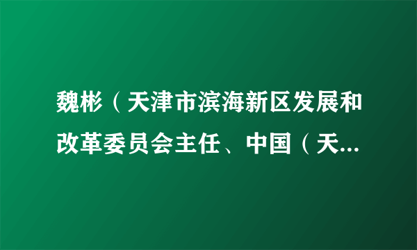 魏彬（天津市滨海新区发展和改革委员会主任、中国（天津）自由贸易试验区管理委员会办公室主任）