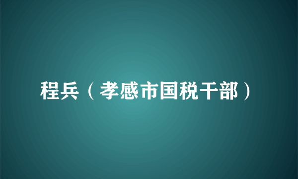 程兵（孝感市国税干部）