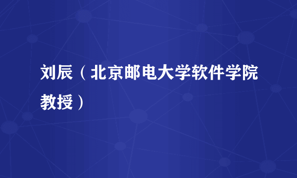 刘辰（北京邮电大学软件学院教授）