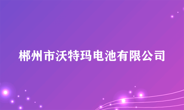 郴州市沃特玛电池有限公司