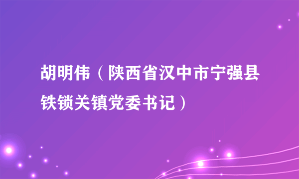 胡明伟（陕西省汉中市宁强县铁锁关镇党委书记）