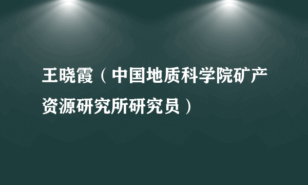 王晓霞（中国地质科学院矿产资源研究所研究员）