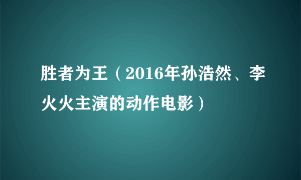 胜者为王（2016年孙浩然、李火火主演的动作电影）