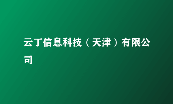 云丁信息科技（天津）有限公司