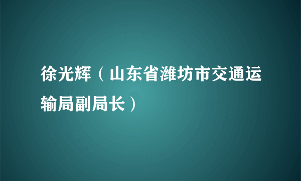 徐光辉（山东省潍坊市交通运输局副局长）