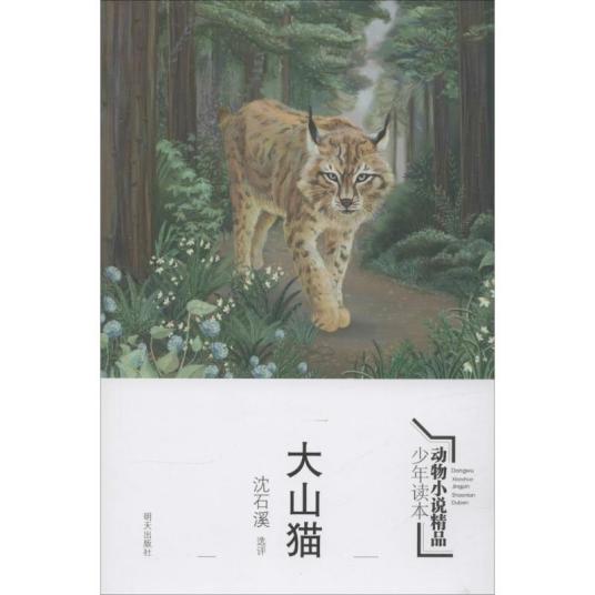 大山猫（2015年明天出版社出版的图书）