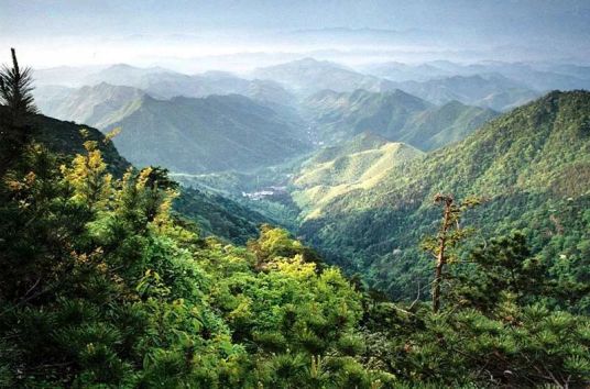 天目山（中国4A级旅游景区）