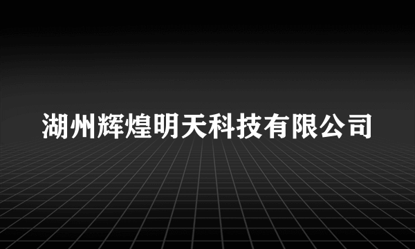 湖州辉煌明天科技有限公司