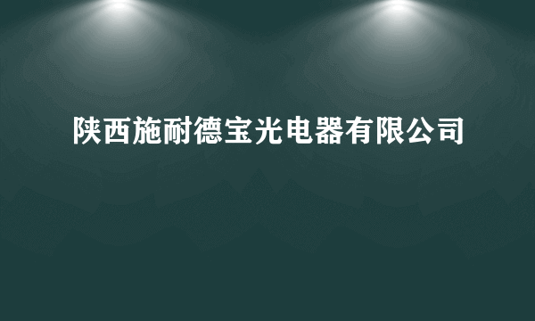 陕西施耐德宝光电器有限公司