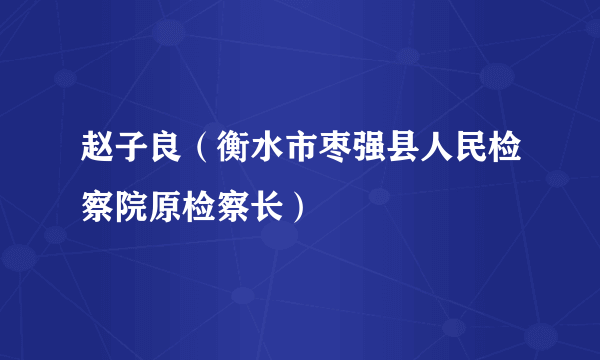 赵子良（衡水市枣强县人民检察院原检察长）