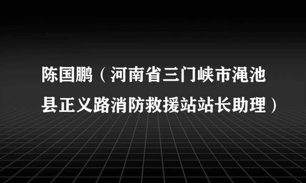 陈国鹏（河南省三门峡市渑池县正义路消防救援站站长助理）