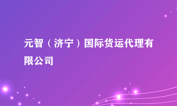 元智（济宁）国际货运代理有限公司