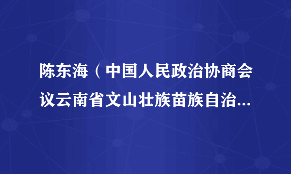 陈东海（中国人民政治协商会议云南省文山壮族苗族自治州富宁县第十一届委员会委员）