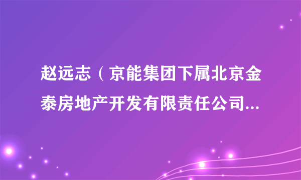 赵远志（京能集团下属北京金泰房地产开发有限责任公司原副总经理）