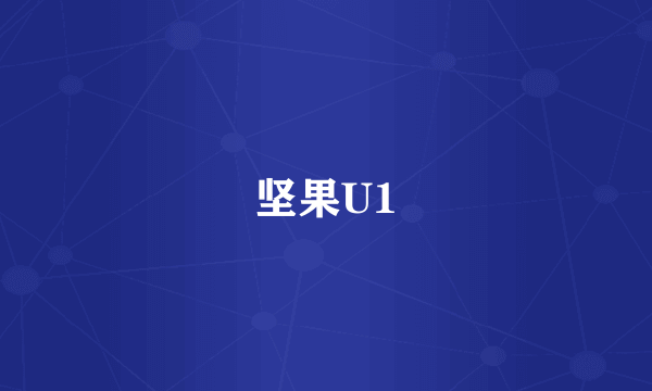 坚果U1