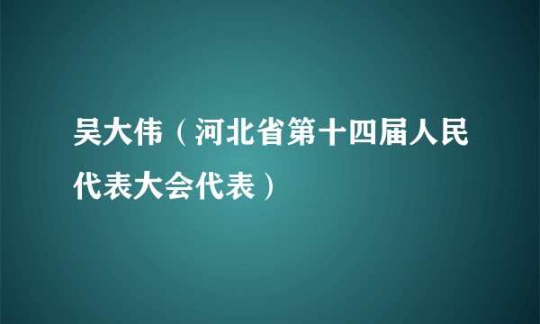 吴大伟（河北省第十四届人民代表大会代表）