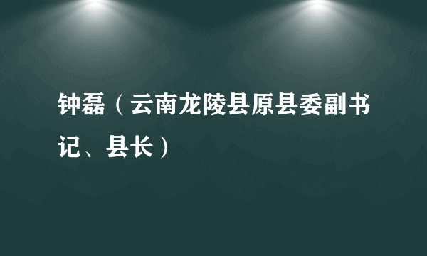 钟磊（云南龙陵县原县委副书记、县长）