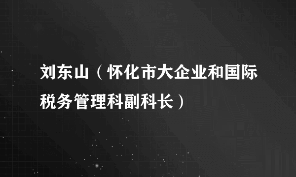 刘东山（怀化市大企业和国际税务管理科副科长）