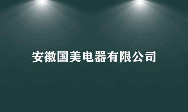 安徽国美电器有限公司