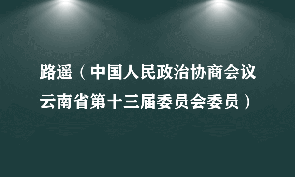 路遥（中国人民政治协商会议云南省第十三届委员会委员）