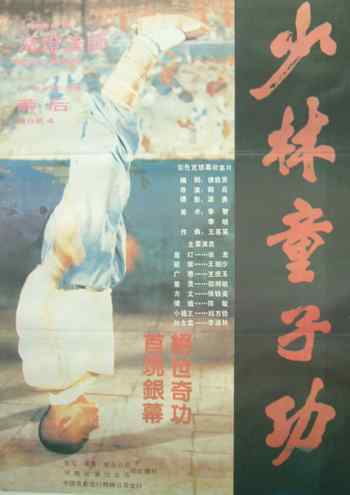 少林童子功（1986年薛后指导电影）