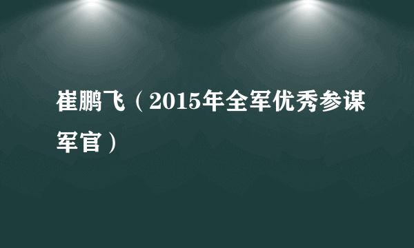 崔鹏飞（2015年全军优秀参谋军官）