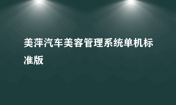 美萍汽车美容管理系统单机标准版