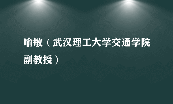 喻敏（武汉理工大学交通学院副教授）